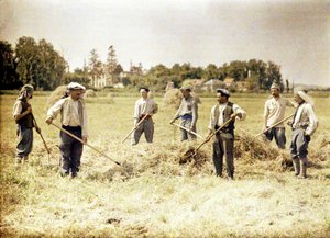 Acht leden van de 143e Infanteriedivisie van het Franse leger maken hooi, Soissons, Aisne, Frankrijk