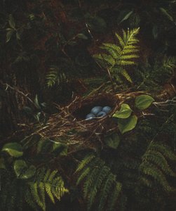 Vogelnest en Varens, 1863 door Fidelia Bridges