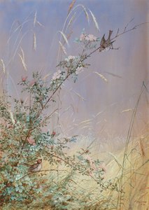 Wilde Rozen Tussen Rogge, 1874