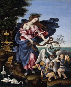  door Filippino Lippi
