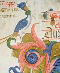 Missaal 515 f.28v Fantastische vogel met menselijk hoofd staand op de hoek van een versierde initiaal, detail uit een Koorboek uitgevoerd voor 1449 door Filippo di Matteo Torelli