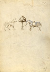 Twee paarden