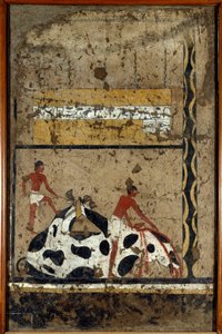 Egyptische antiquiteiten: een stier wordt geofferd voor een sarcofaag. Detrempe op klei en stro uit het graf van de generaal en kanselier van koning Iti in El Ghebelen bij Luxor. 2200-2000 v.Chr. Turijn, Egyptisch museum