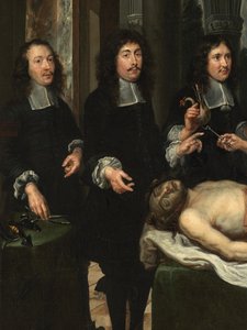 (detail) van Anatomieles