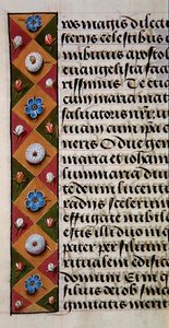 Ms. 1058-1975, f.16r: detail van een bloemenrand uit een Getijdenboek, c.1500 door Flemish School