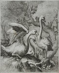 Oude Meester Gravure door Flemish School