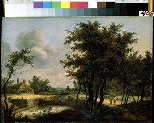 Landschap van het Nederlandse platteland