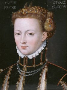 Portret van Sophia Jagiellon (1522-1575) in Spaanse kleding door Flemish School