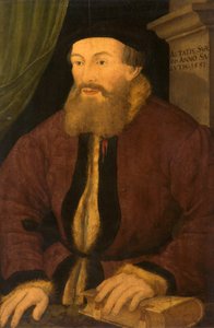 Portret van een Man, 1551 door Flemish School