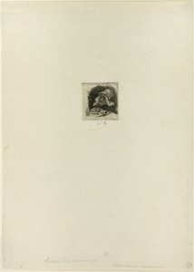 Vlaamse tuinder door Félicien Rops