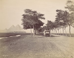 Caire. Allée de Pyramides, ca. 1870 door Félix Bonfils