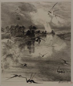 Zwaluwen door Félix Henri Bracquemond