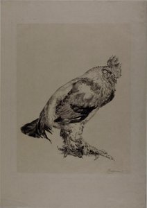 De oude haan door Félix Henri Bracquemond