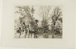 De wilgen van Mottiaux door Félix Henri Bracquemond