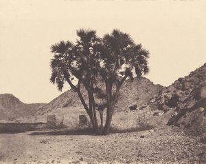 Egypte en Nubië. Sites en Monumenten...Atlas Fotograaf...Tweede Deel. Nubië