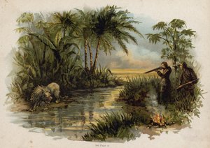 Scène uit De Zwitserse Familie Robinson: de leeuw jagen door Florence Maplestone