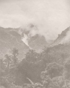 Mistige Jungle 3, 2024 door Florent Bodart