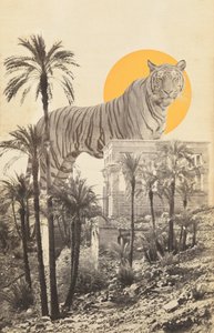 Grote Tijger in Ruïnes en Palmen