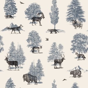 Waar ze thuishoren - Winter door Florent Bodart
