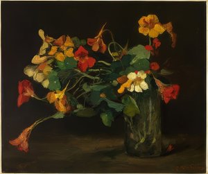 Bloemenstilleven met Oost-Indische kers