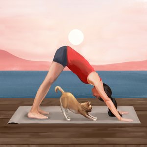 Zonsopgang-yogakat