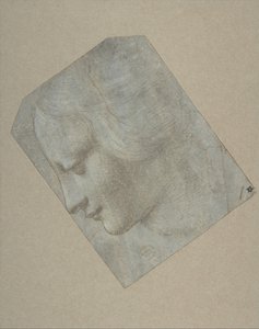 Het hoofd van een vrouw in profiel naar links, 1490-1500