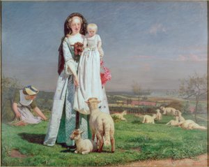Mooie Baa-Lambs