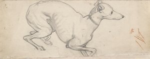 Studie van een Windhond door Ford Madox Brown
