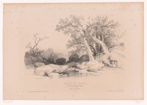 Rotslandschap met water en twee herten door Fortuné Ferogio