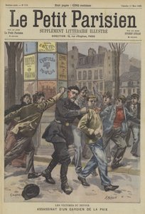 Een Franse politieagent gedood in de lijn van zijn plicht door Fortune Louis Meaulle
