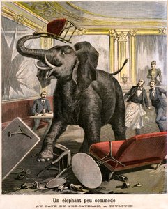 Een ongemakkelijke olifant: de pachyderm ontsnapt uit een circusmenagerie en breekt alles in het café van Pre-Catelan in Toulouse. Gravure door Meaulle en Meyer