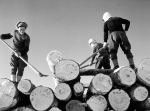 Houtsnijders aan het werk