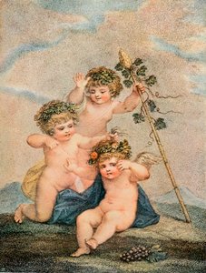 Cupido