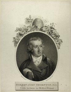 R. J. Thornton
