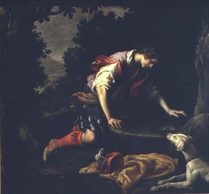 Narcissus bij de fontein