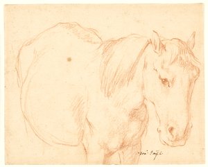 Een paard door Francesco Fernandi