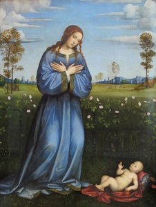  door Francesco Francia
