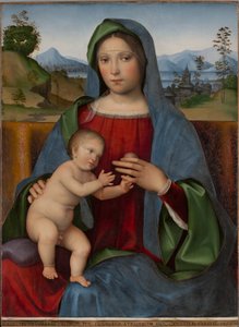 Maagd en Kind: De Gambaro Madonna