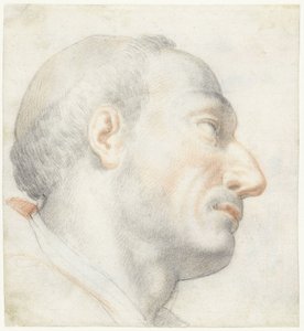 Het hoofd van San Carlo Borromeo