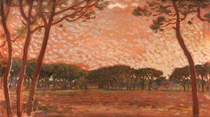 Pijnboombos in Maremma