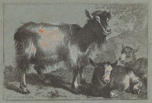 Geit en Twee Lammetjes, 1758.
