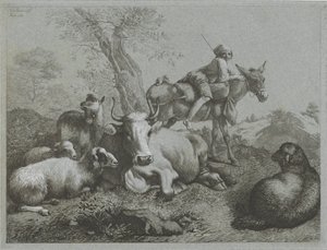Herder op ezel bij kudde