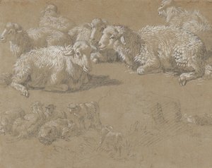 Liggende Schapen in een Landschap door Francesco Londonio