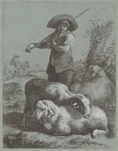 Herderjongen met schapen