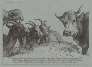 Studie van Hoofden: Drie Geiten, een Os en een Ram door Francesco Londonio