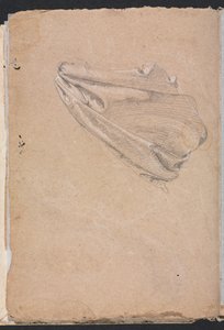 Verona Schetsboek: Draperiestudie (pagina 6) door Francesco Lorenzi