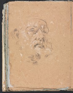 Verona Schetsboek: Mannelijk hoofd (pagina 76) door Francesco Lorenzi