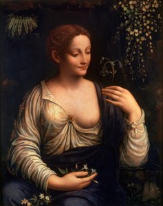 Flora, c1510-c1515