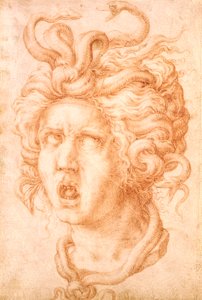 Medusa door Francesco de Rossi Salviati Cecchino