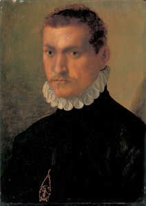 Portret van een ridder door Francesco de Rossi Salviati Cecchino